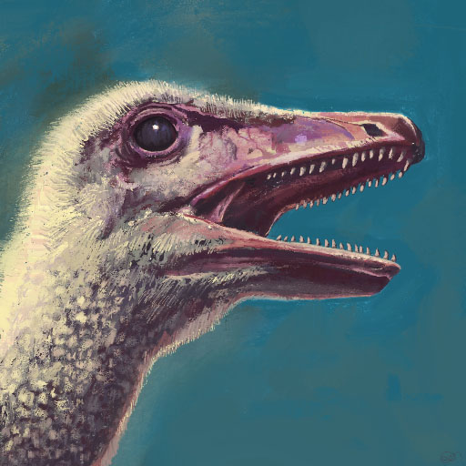 Velociraptor Portrait